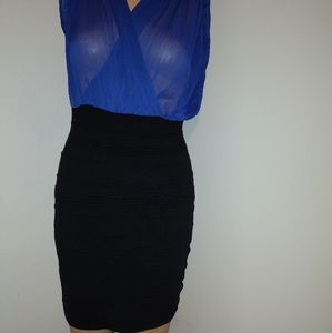 Bodycon dresssl